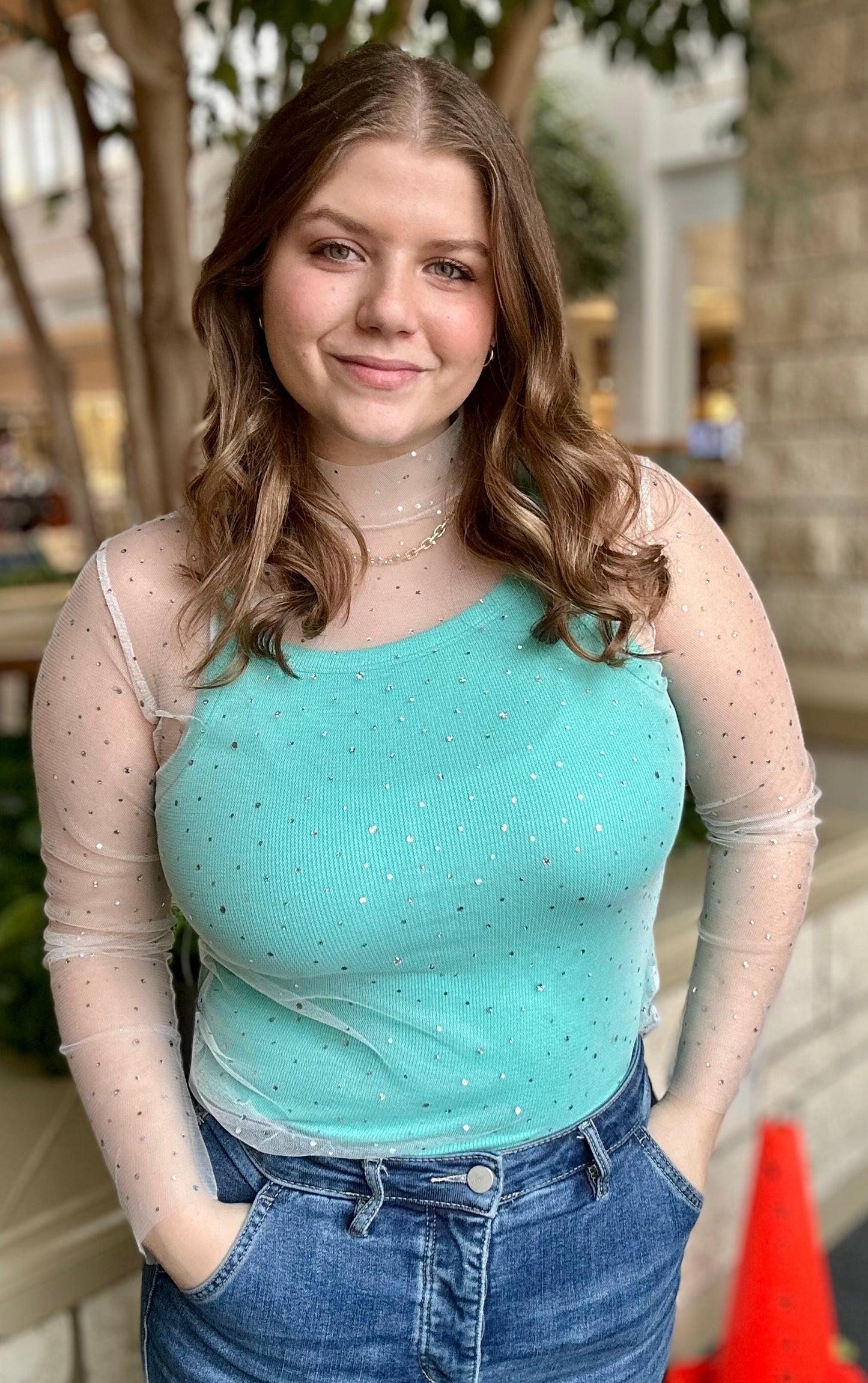 Mock Neck Sheer Long Sleeve Top