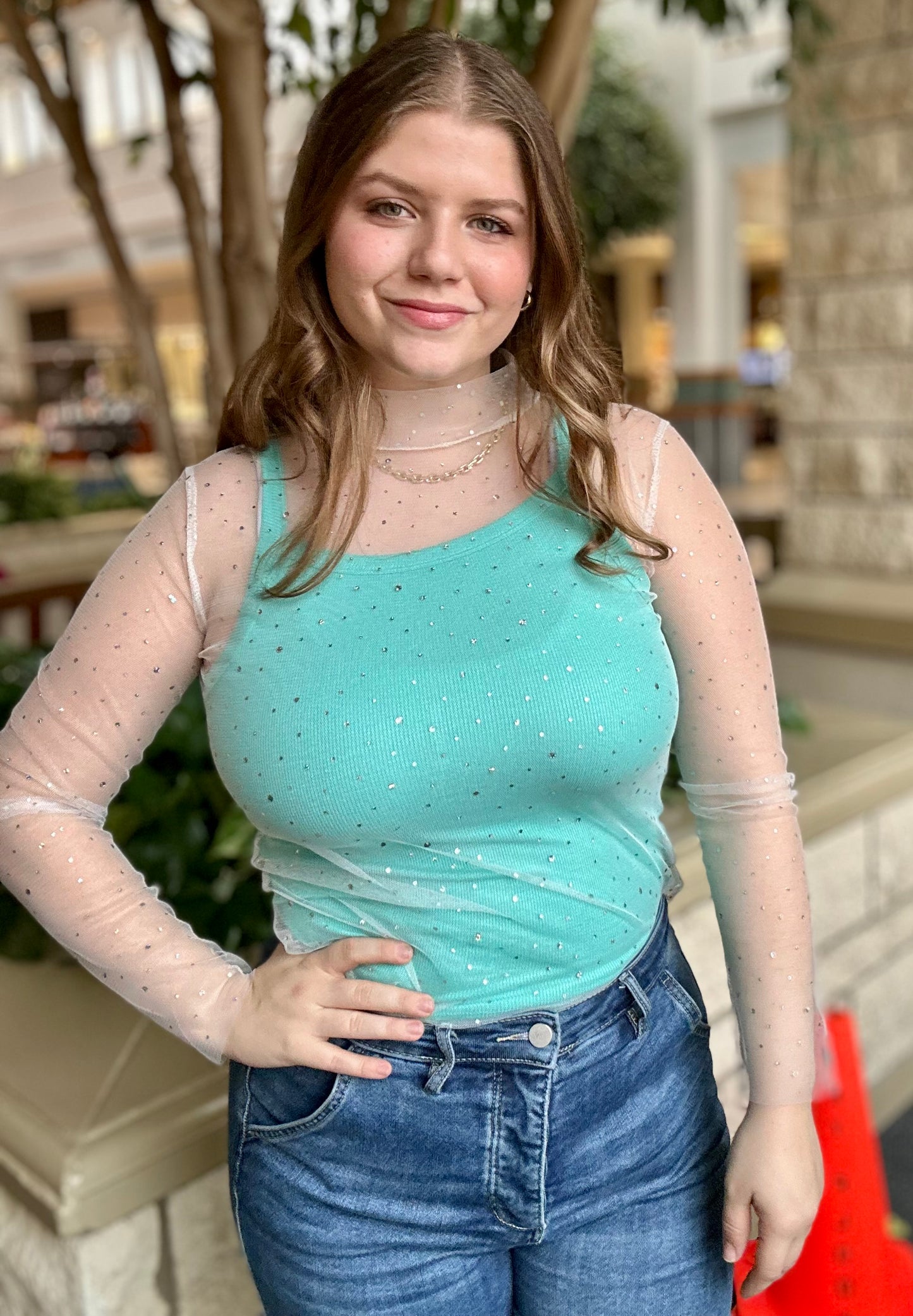 Mock Neck Sheer Long Sleeve Top